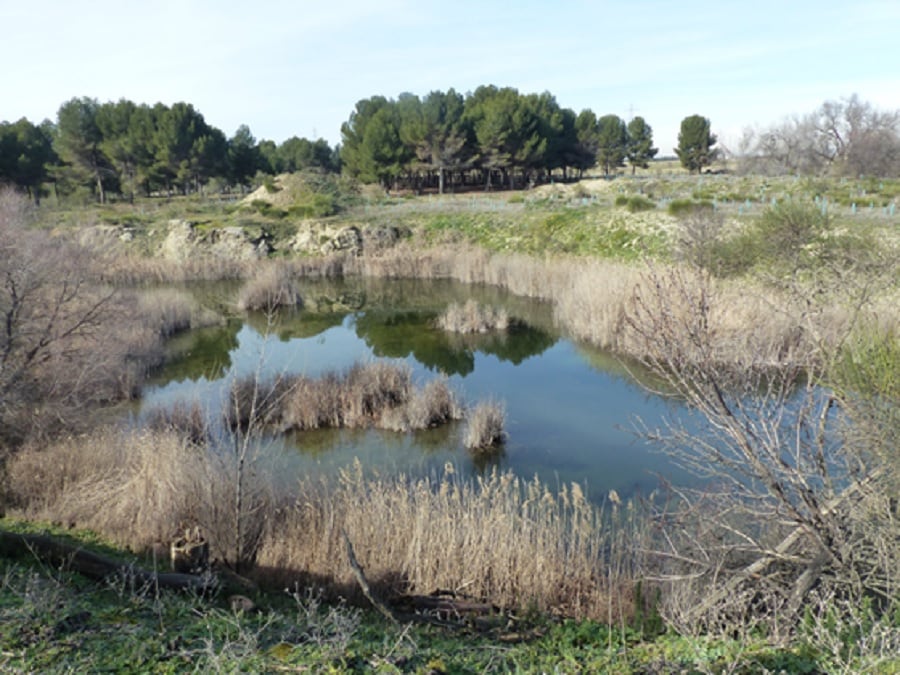 Las lagunas de Horna se encuentran en la confluencia de la M-50 y M-301 en Getafe