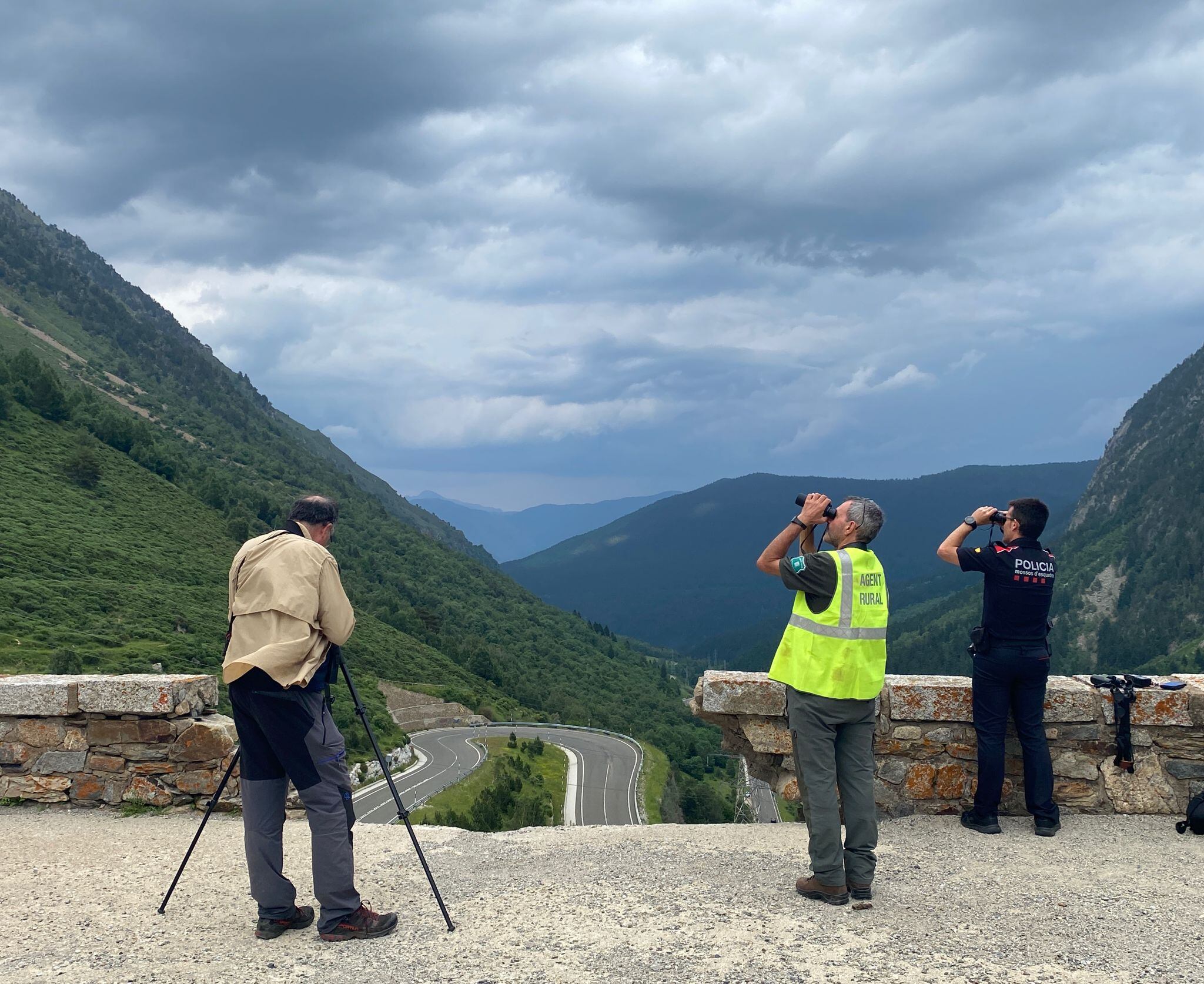 Mossos i agents rurals intenten localitzar l'os que s'ha vist a la C-28