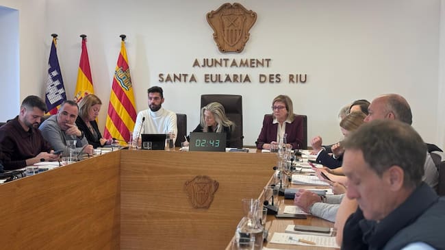 Imagen de la sesión plenaria