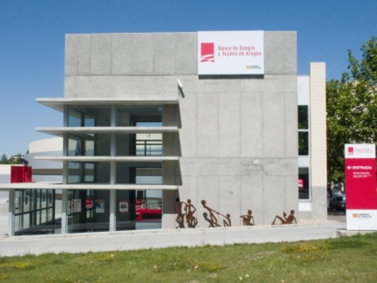 Aragón ha realizado 34 trasplantes de órganos en los primeros cinco meses del año