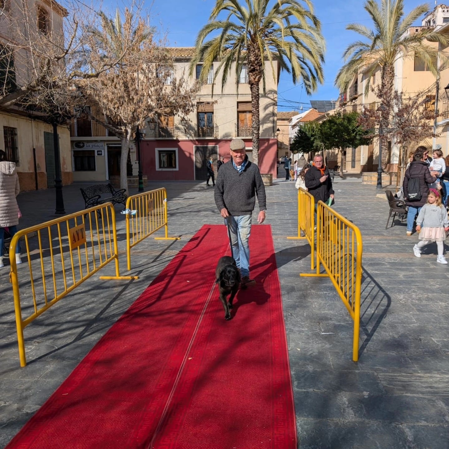 Pasarela de animales en Beneixama