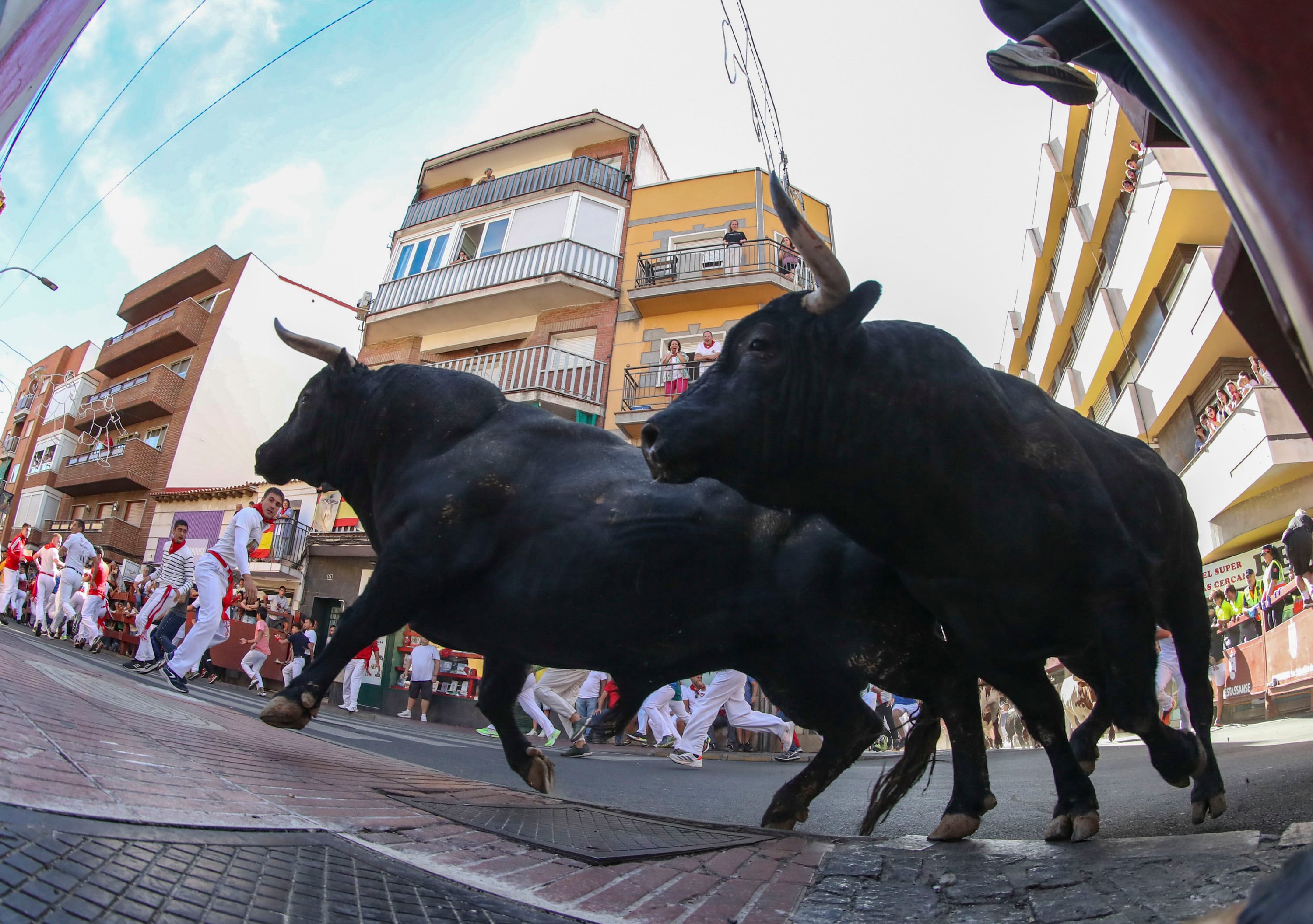 Segundo encierro de las fiestas de San Sebastián de los Reyes, este martes en Madrid. EFE