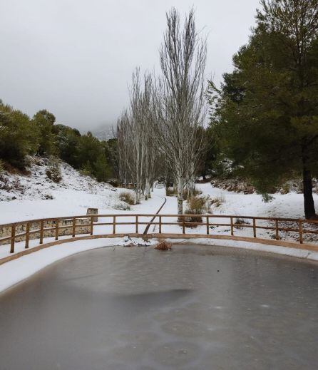 Xorret Catí, Petrer