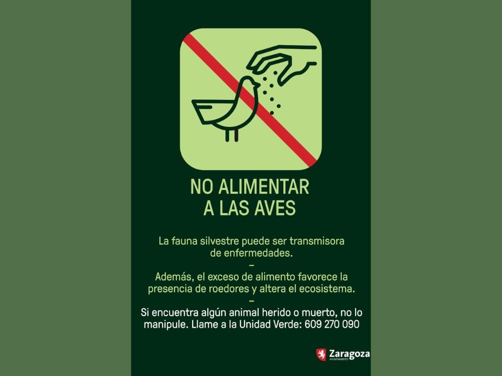 No alimentar a las aves: aviso del Ayuntamiento de Zaragoza