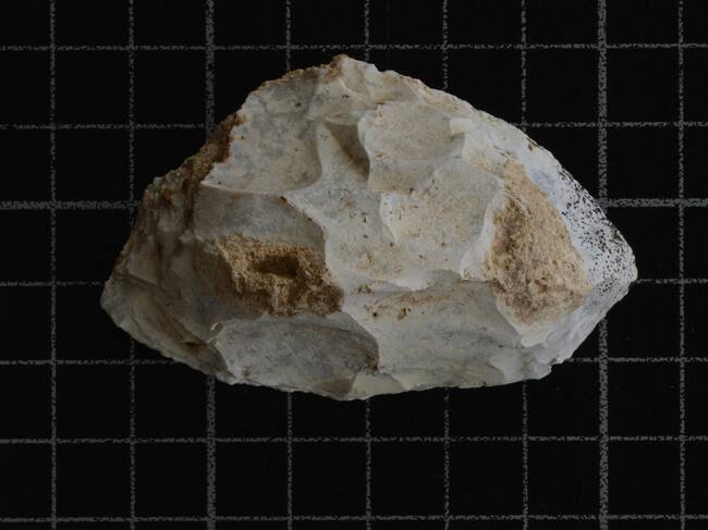 Huesos de un neandertal que vivió hace 100.000 años en la plana de Utiel-Requena analizados por el Institut Valencià de Conservació.