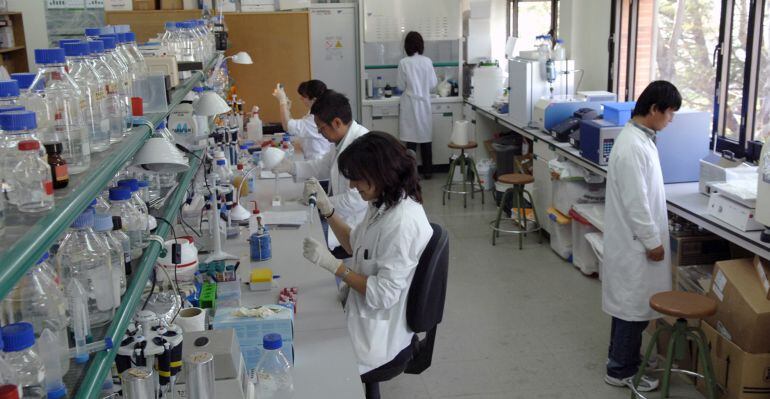 Científics treballant al laboratori de Biotecnologia de l'ETSEA de Lleida.