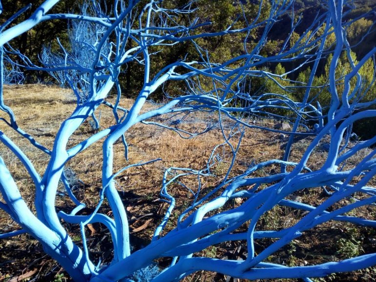 Los troncos quemados, pintados de azul