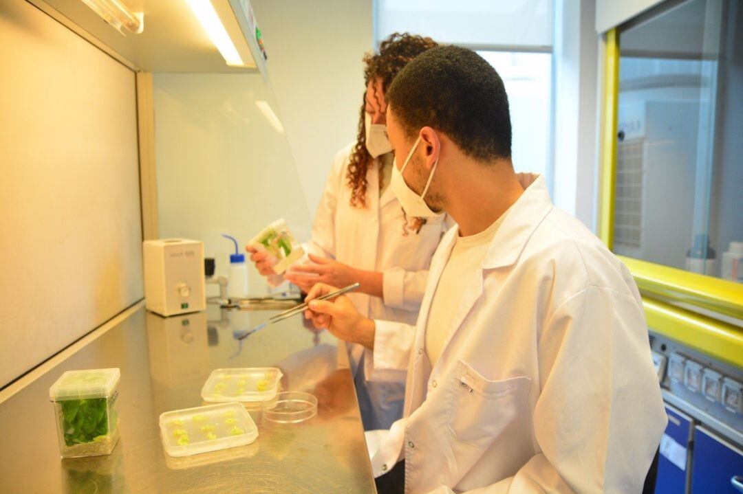 Investigadores en un laboratorio de la UPCT