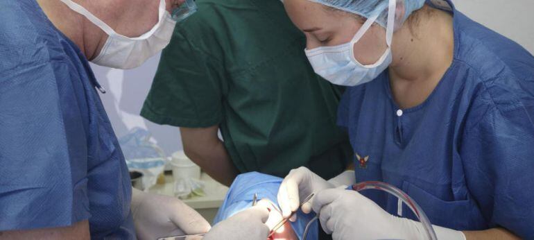 Una rata obliga a cerrar quirófanos en el Hospital de La Línea