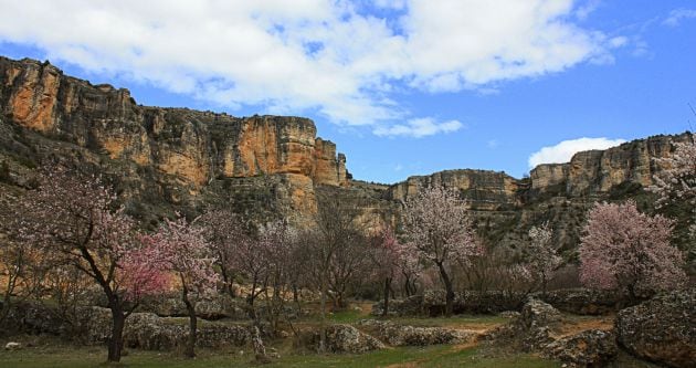 Paraje de la Hoz del río Trabaque, en Albalate de las Nogueras (Cuenca).