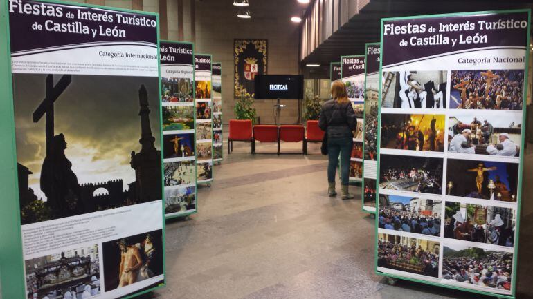 Imagen de la muestra en el vestíbulo de la Delegación Territorial de la Junta.