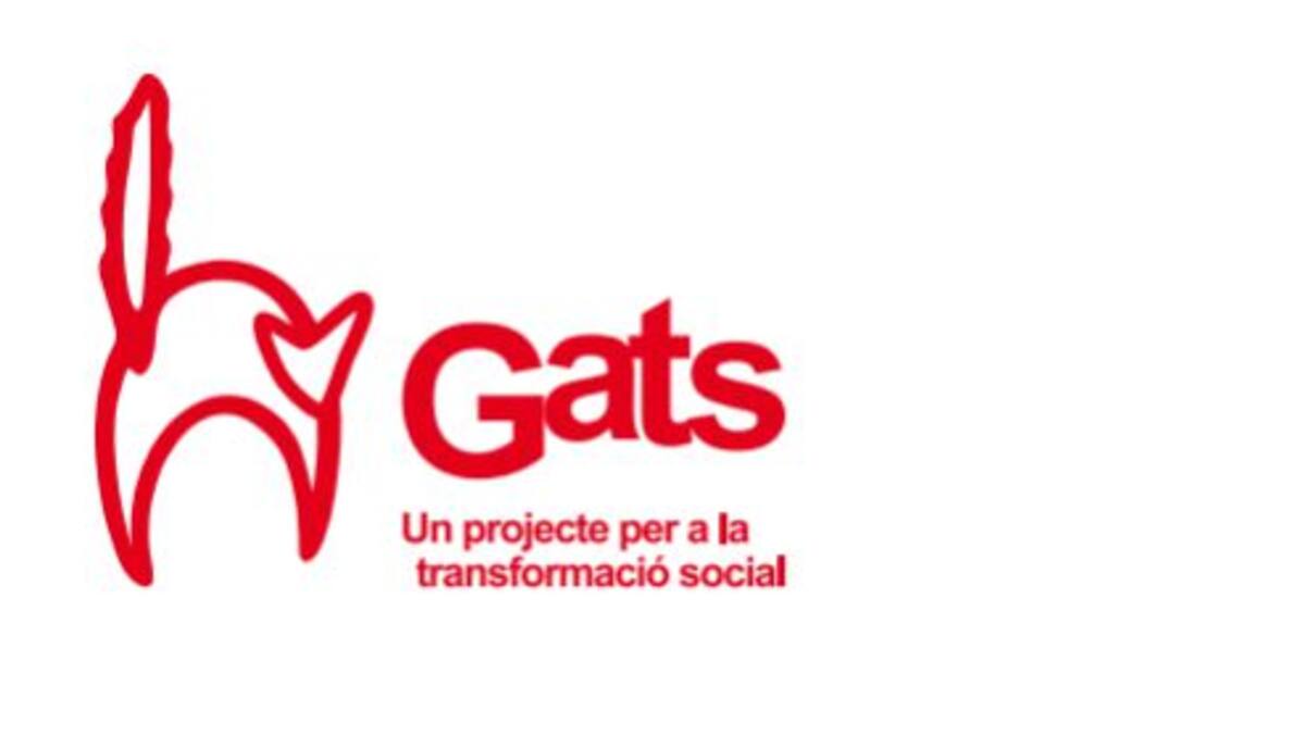 'M'agradaria arribar a vell amb aquesta pluja d'idees que tinc constantment'