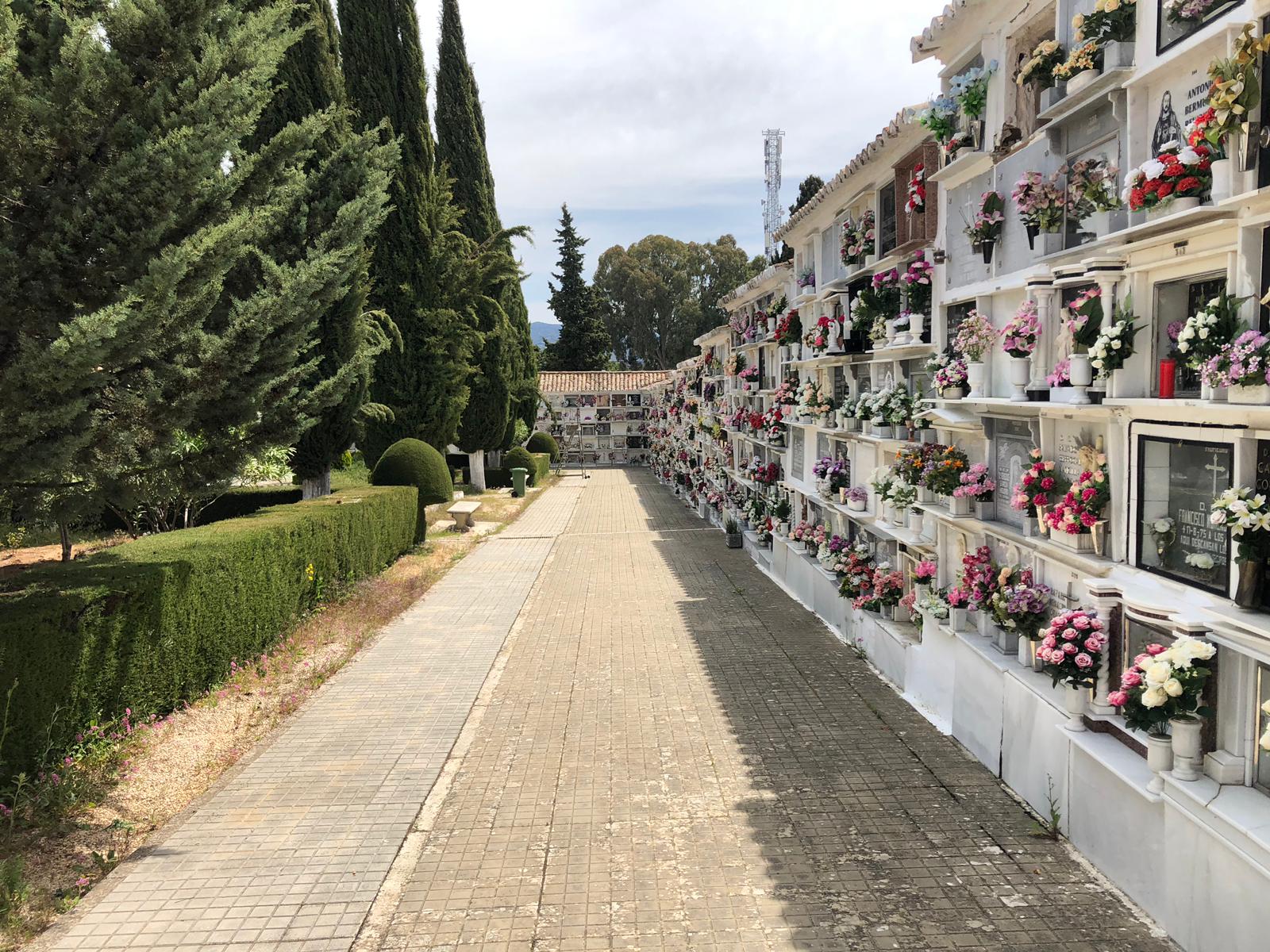 El cementerio rondeño cuenta con una superficie de unos 25.000 metros cuadrados