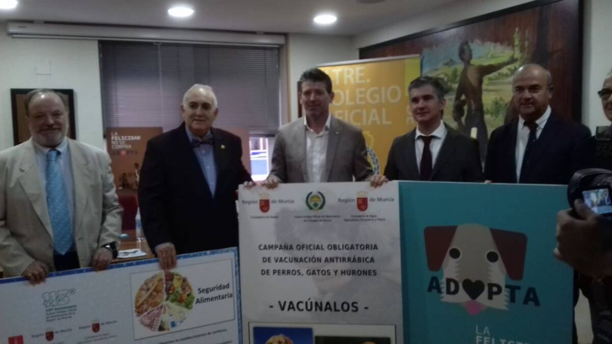 4.000 mascotas son abandonadas en la Región cada año