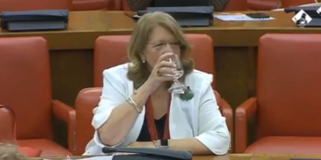 La diputada del PP, Elvira Rodríguez en la Comisión de Reconstrucción.