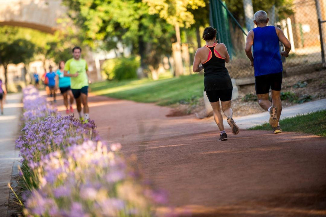 Tramo del circuito de Running 5K del viejo cauce del río Turia en València