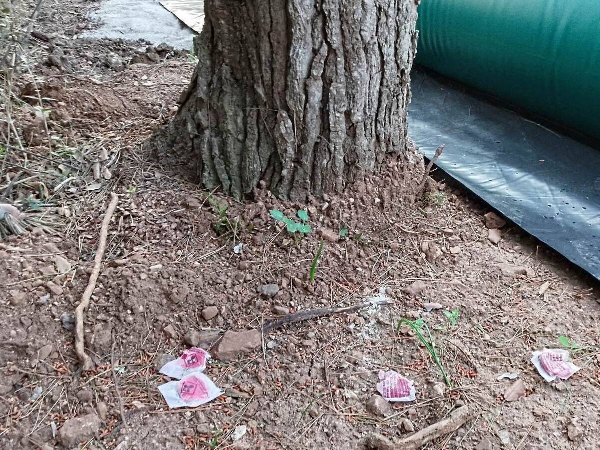 El GOB denuncia davant el Govern l'ús de verí a un finca d'Alaior