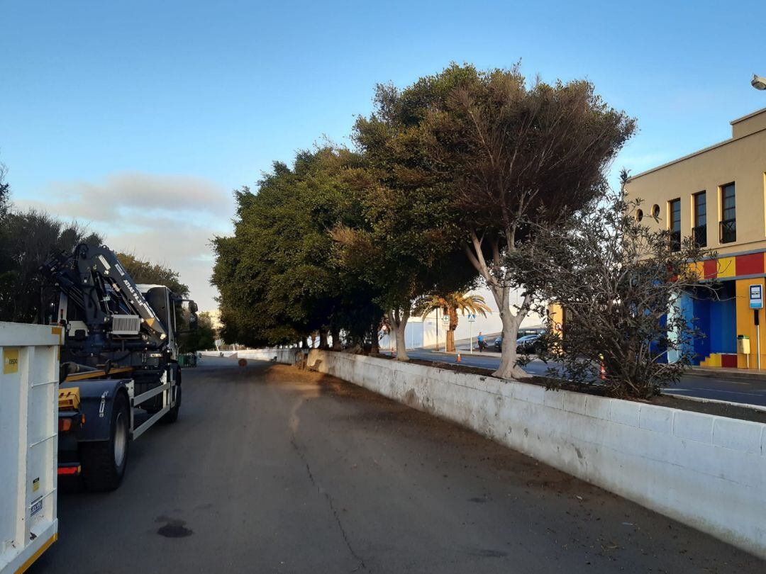 Trabajos de mantenimiento en la Vía Medular de Arrecife.