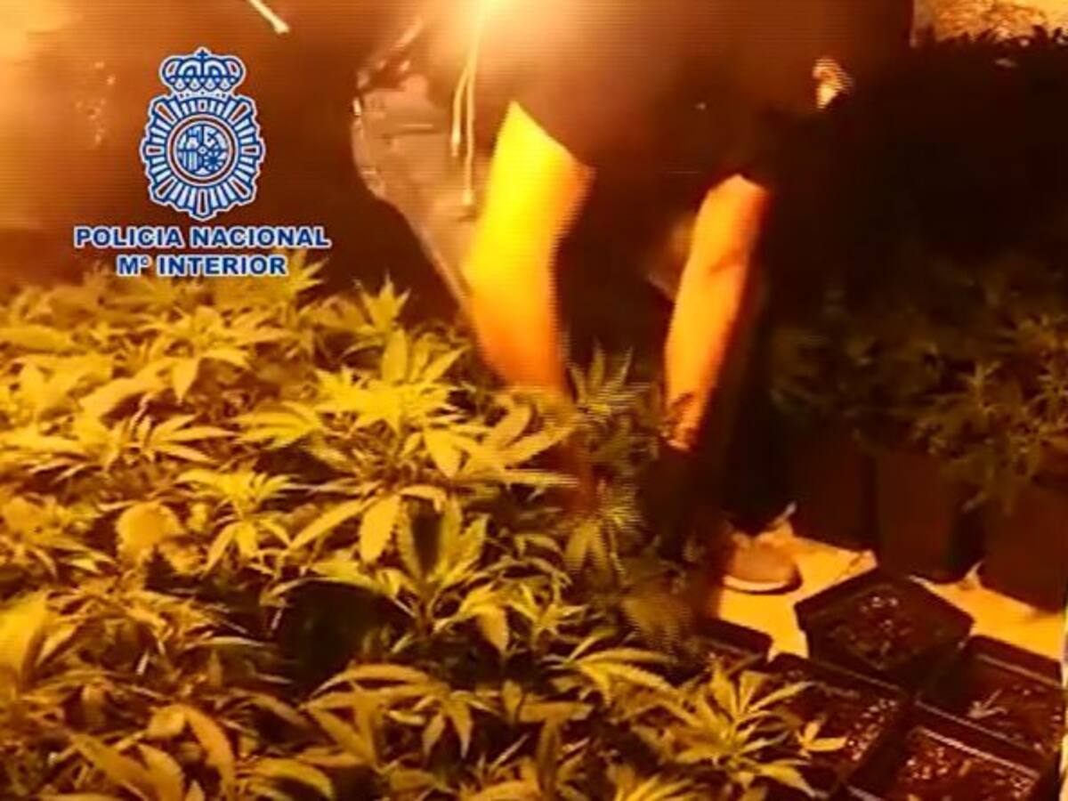 Desarticulada una banda dedicada al narcotráfico