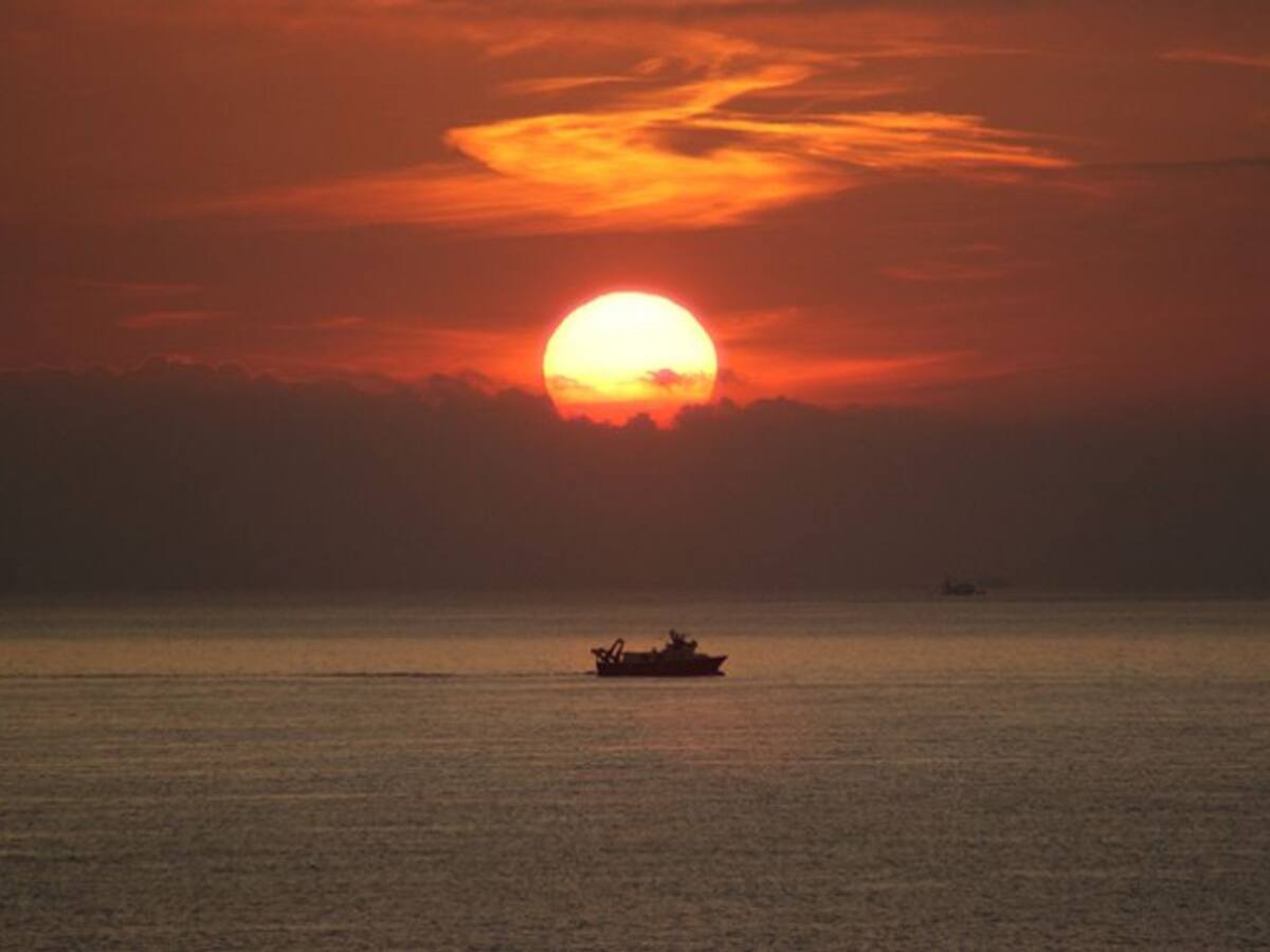 Cupo de sardina y tratado con Marruecos, retos pesqueros de 2018