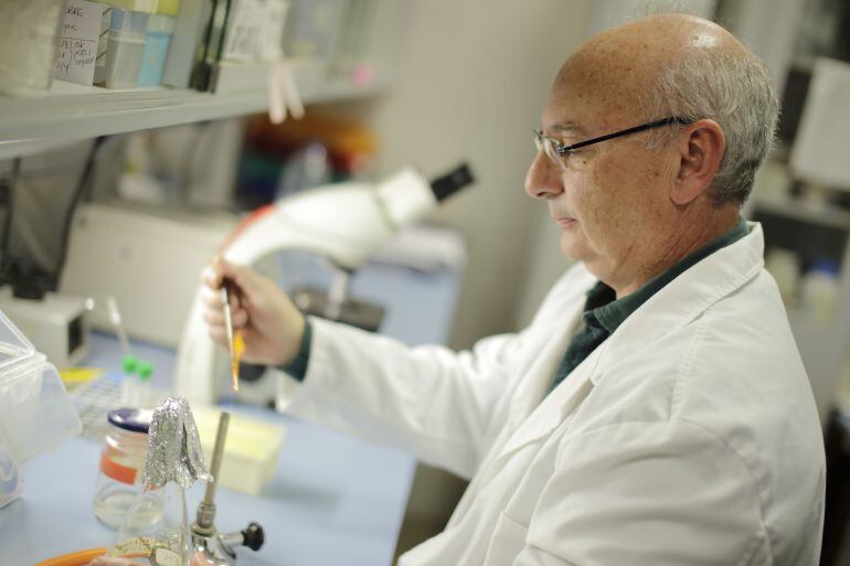 El microbiólogo Francisco Martínez Mojica descubrió la ténica de edición genética CRISPR en su laboratorio de la Universidad de Alicante en la década de los 90.