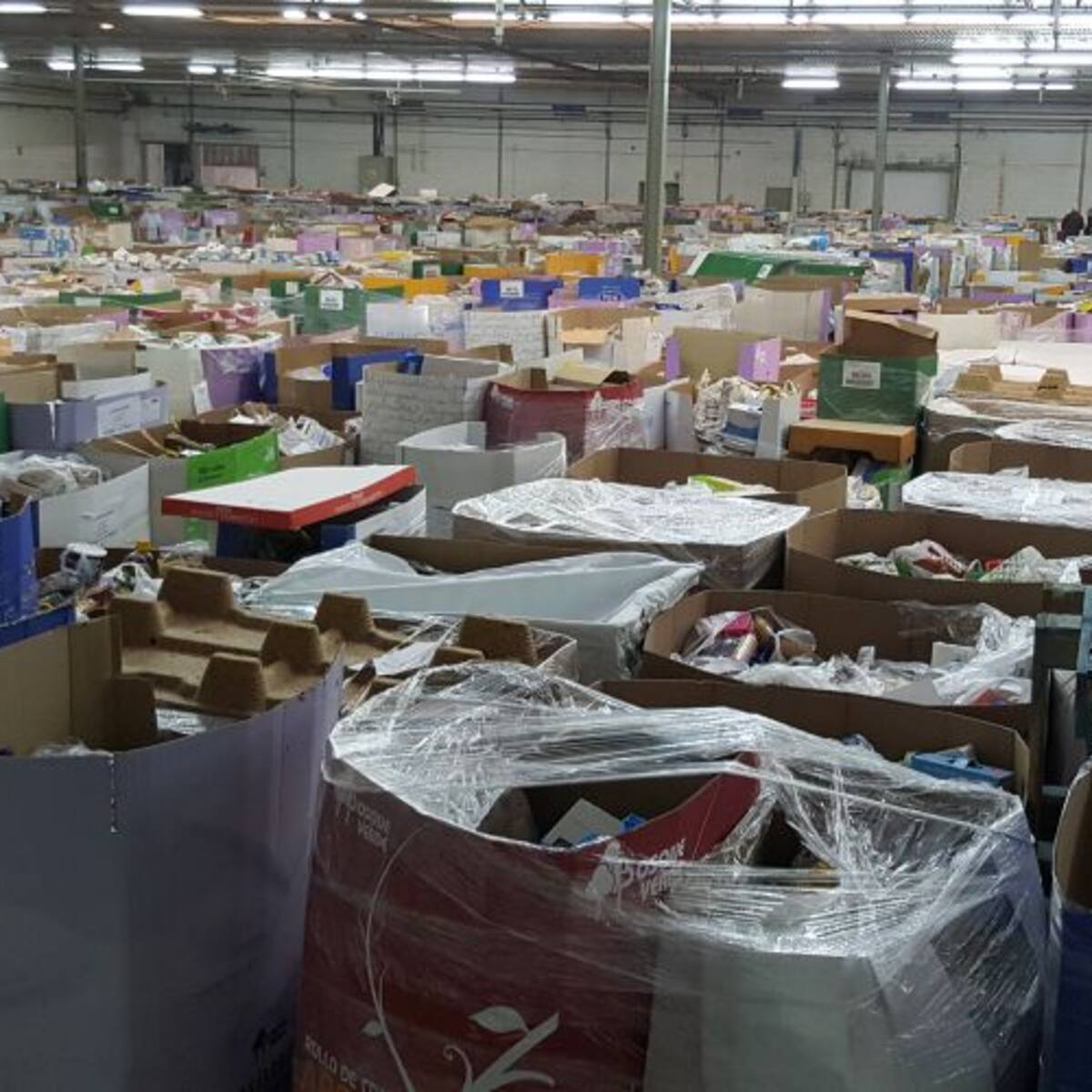 Hacen falta voluntarios para clasificar más de mil toneladas de alimentos