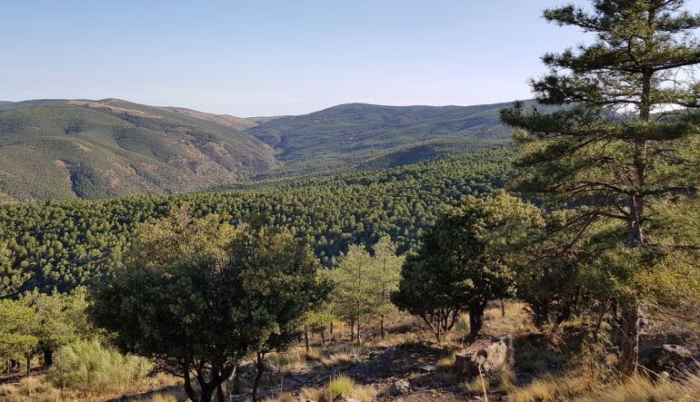 Espacio protegido de Sierra Nevada en la zona de La Ragua entre las provincias de Granada y Almería