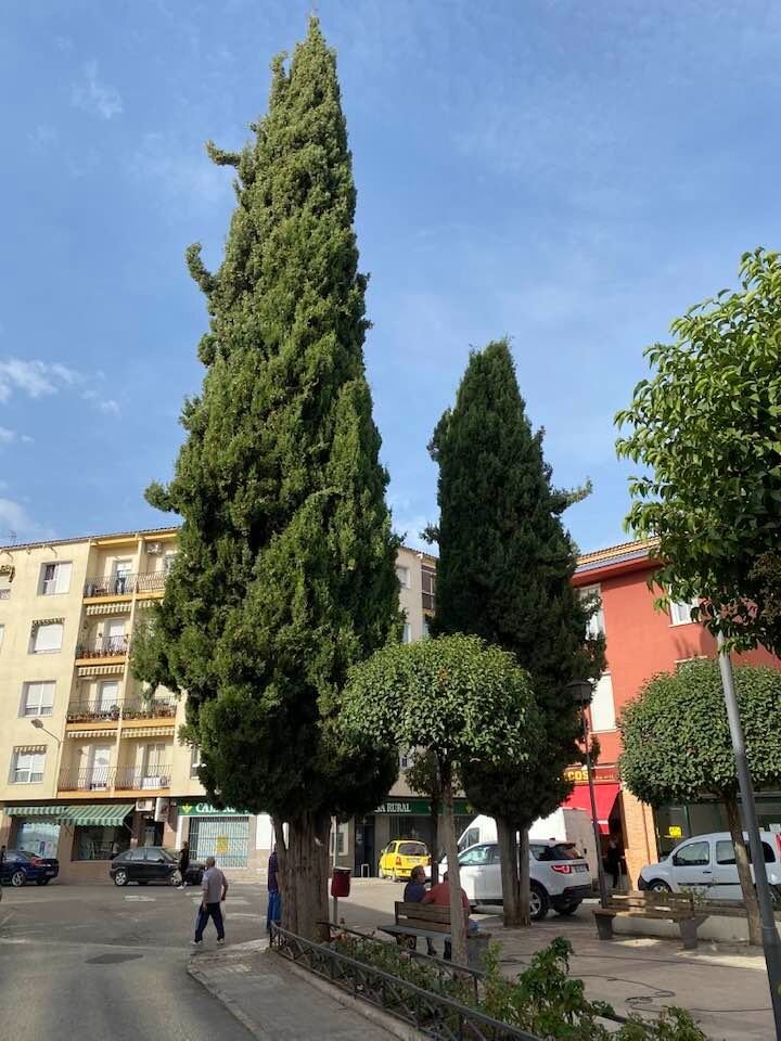 Mejoras de acceso Úbeda