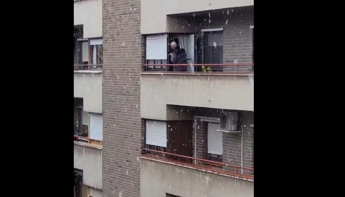 El tierno vídeo de un hombre enseñando la nieve a su gato en Zaragoza