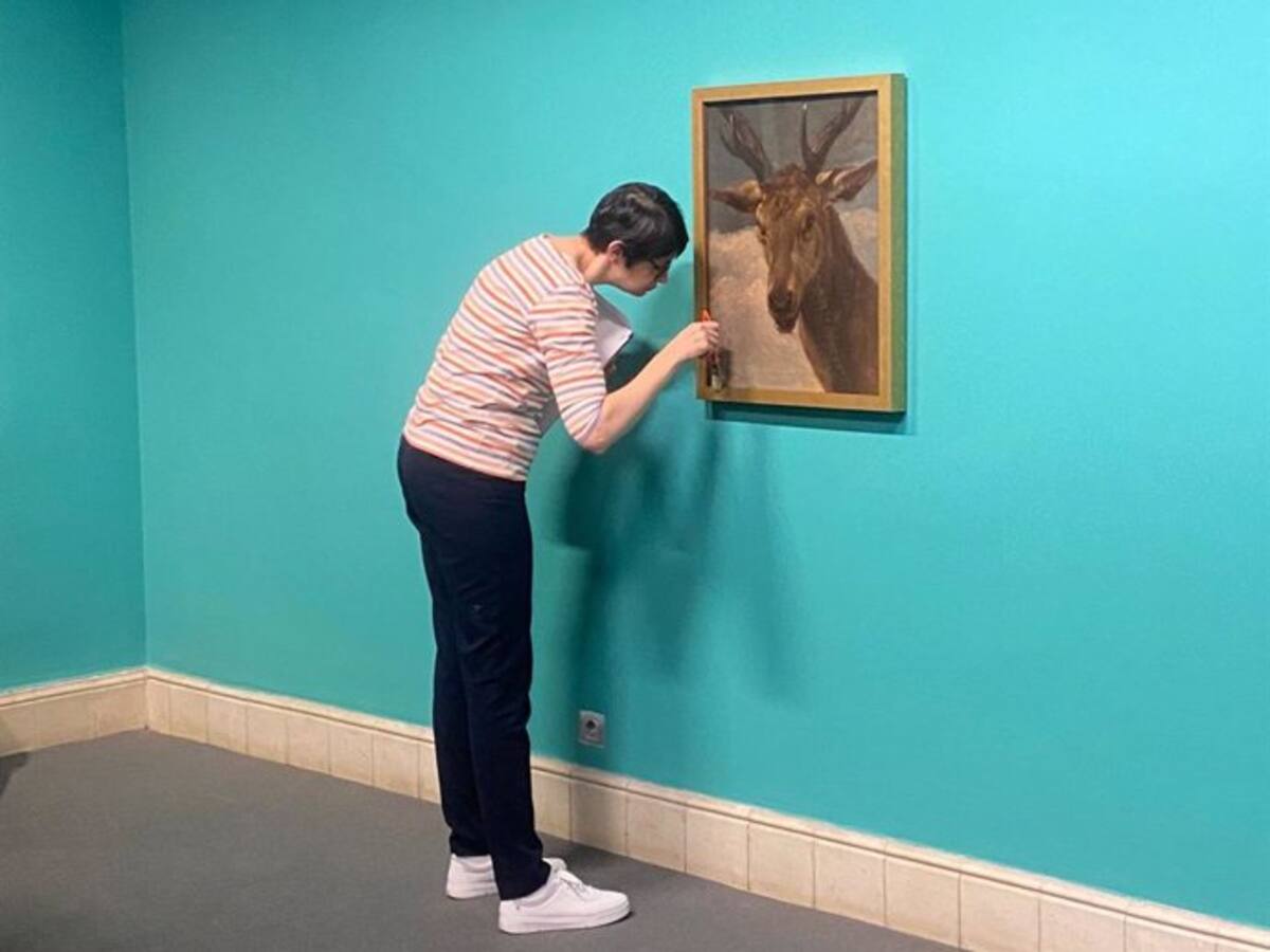 Tenerife acoge con mimo "Cabeza de Venado"