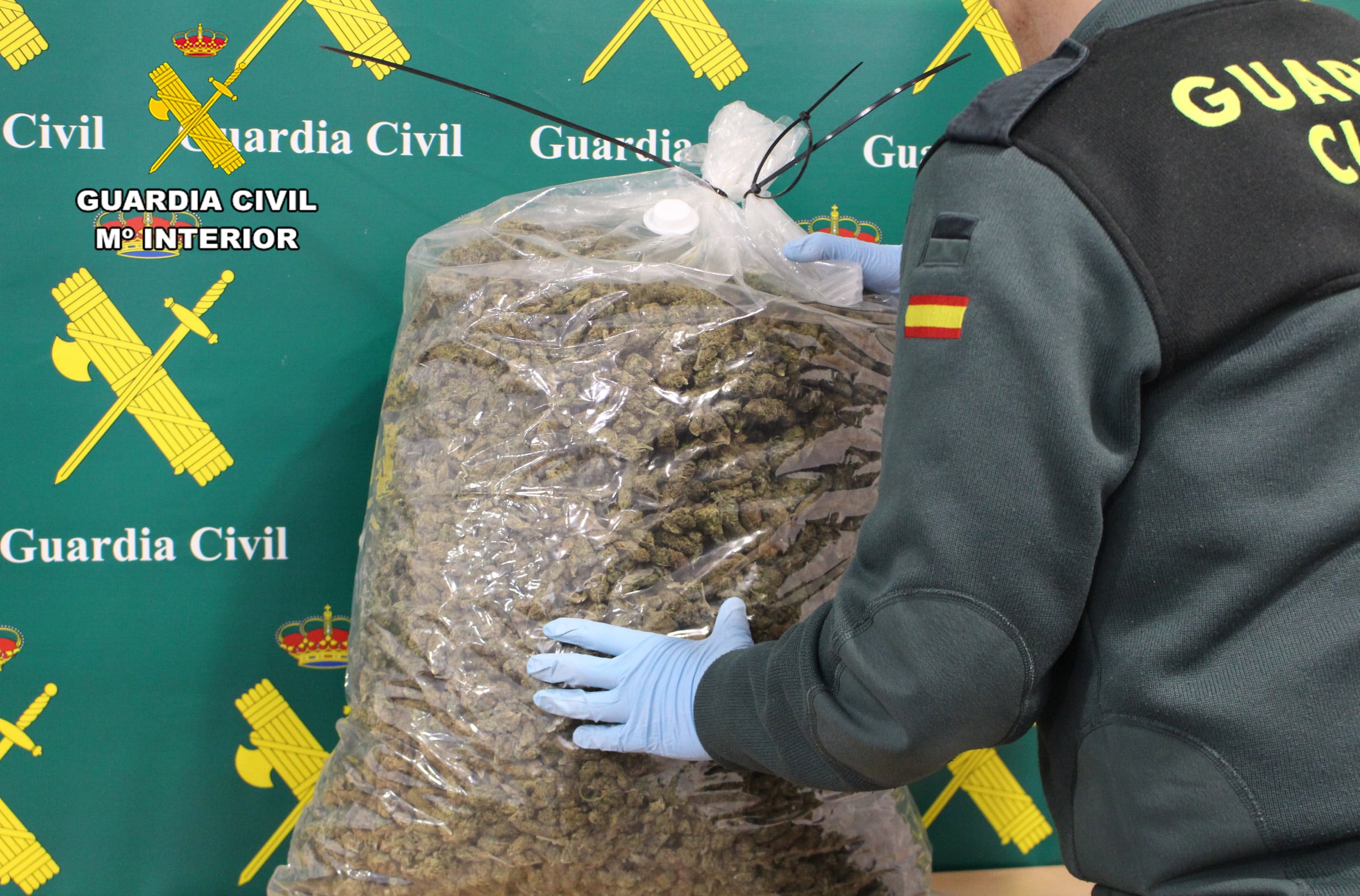 Una bolsa de grandes dimensiones contenía cogollos de marihuana.