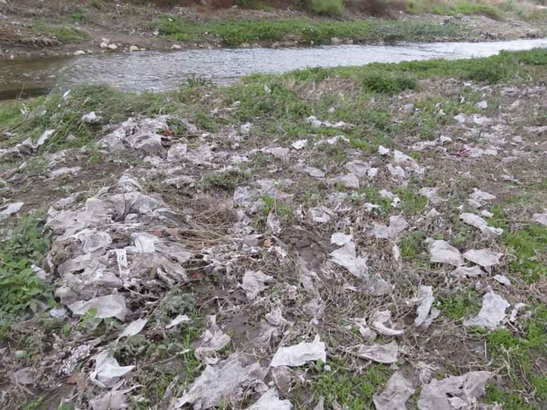 Cauce del rio Vinalopó cubiertos con restos de toallitas higiénicas