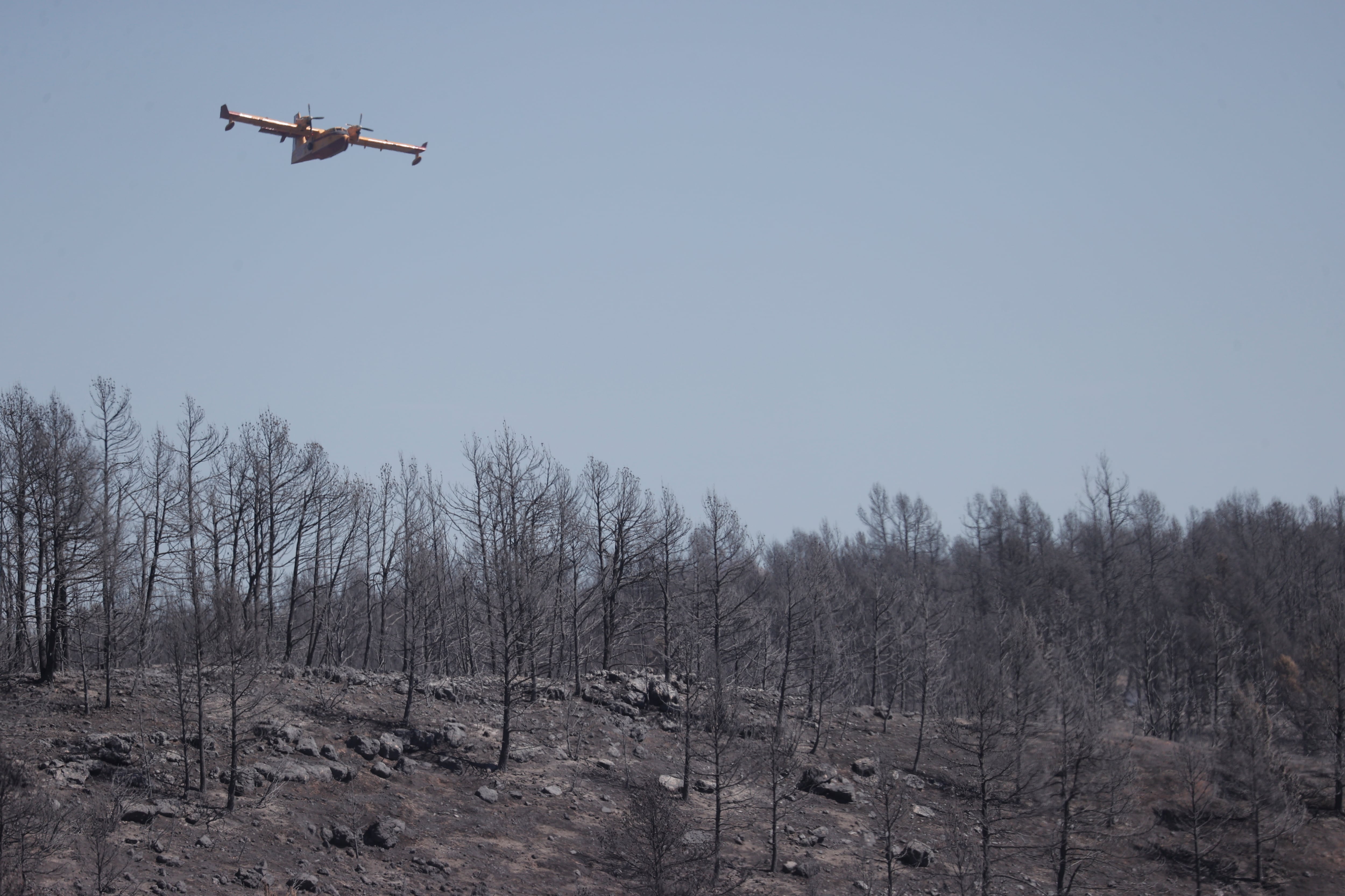 Un hidroavión sobrevuela una zona arrasada por las llamas durante la extinción del incendio forestal que afecta a las provincias de Castellón y Teruel, este domingo, en Teruel.