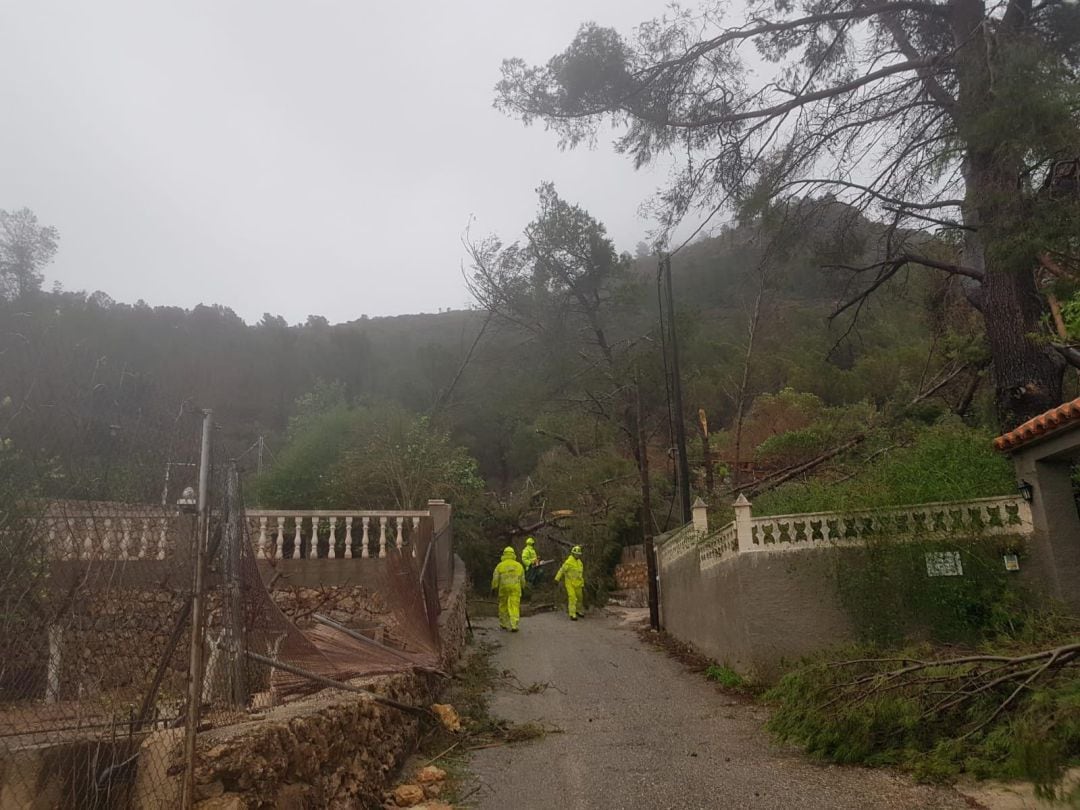 Retiran árboles en Marxuquera para rescatar a la familia incomunicada