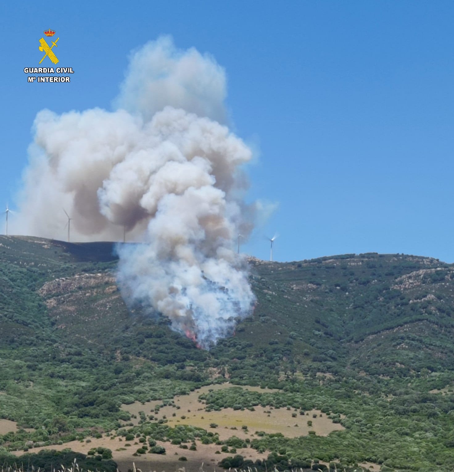 Incendio Tarifa