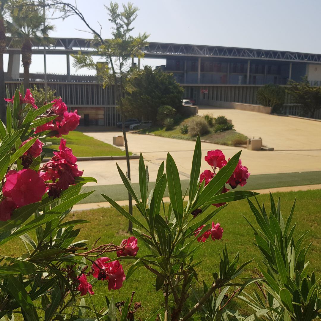 El Estadio Mediterráneo ha sido desalojado este miércoles.
