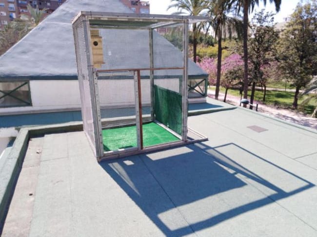 Jaulón donde han vivido las ardillas rojas