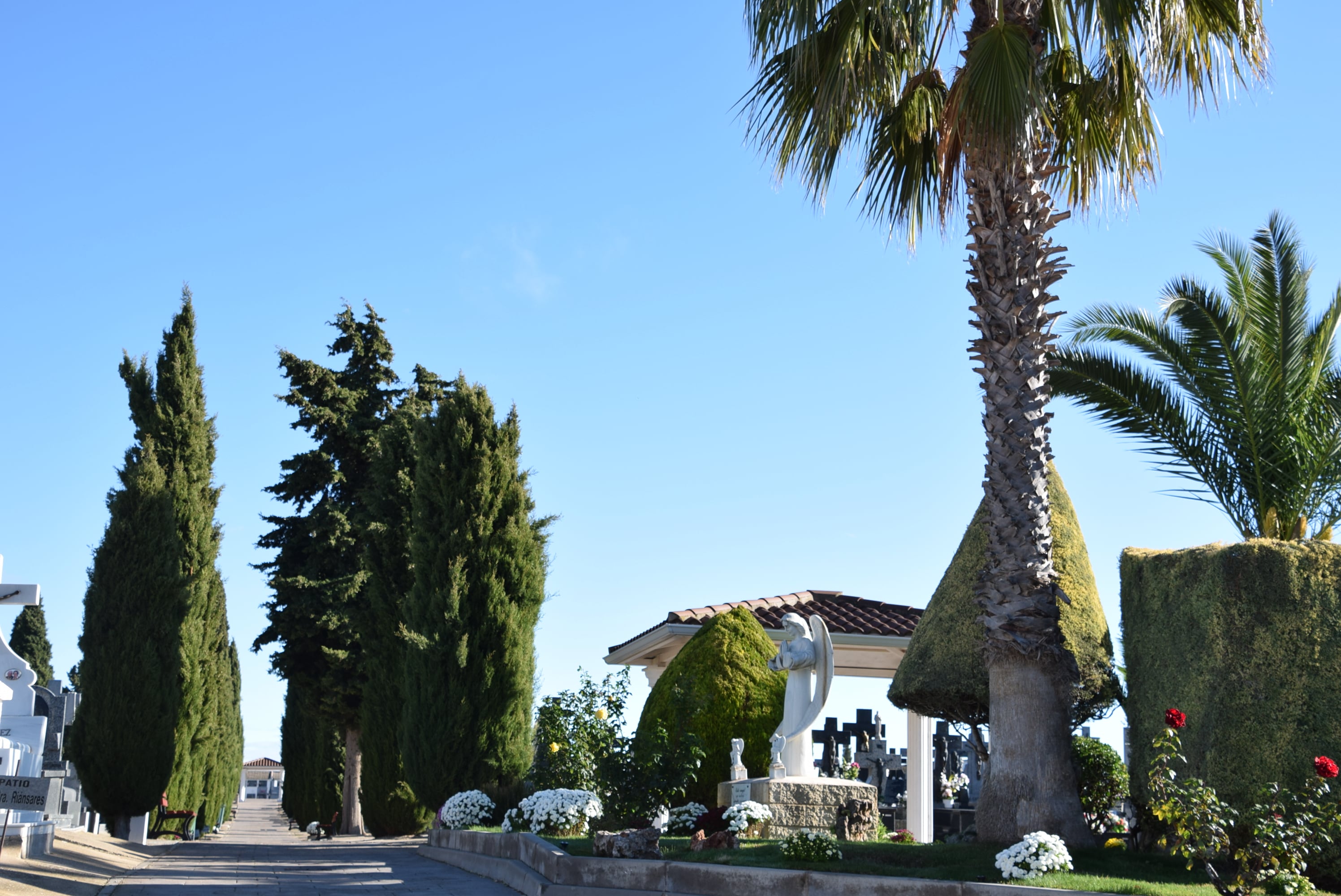 Dispositivo especial de tráfico en el cementerio municipal de Tarancón