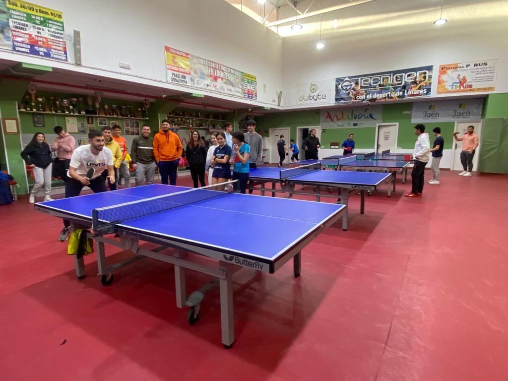 Imagen del pabellón Felipe VI en Linares.