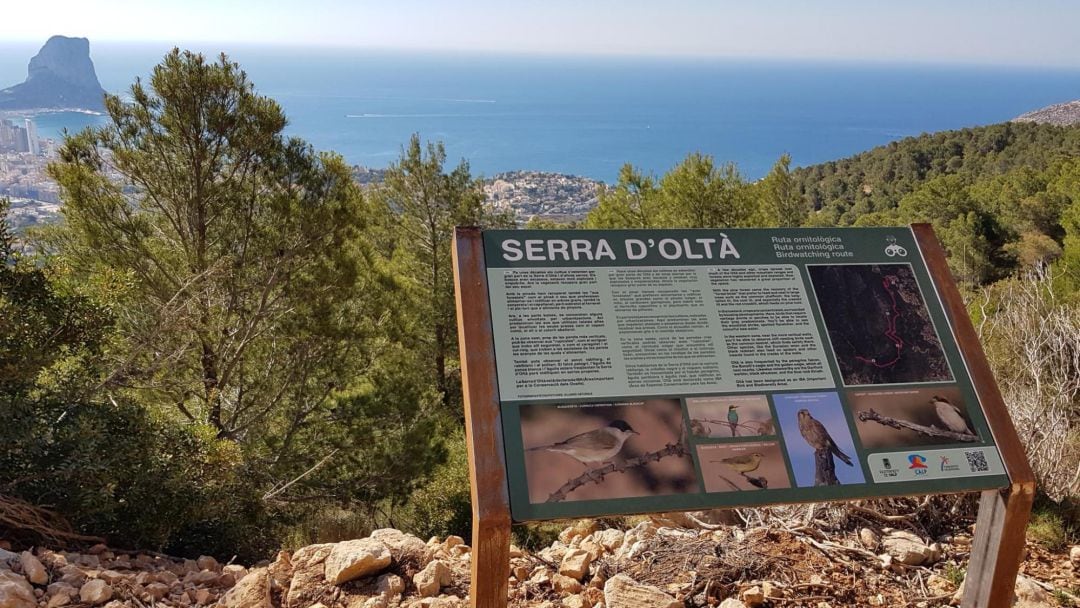 Rutas Ornitológicas en Calp