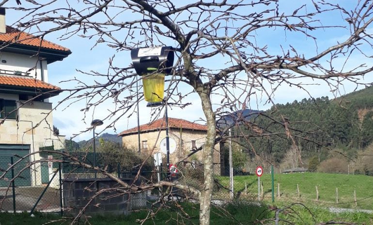 Imagen de una trampa contra vespa velutina