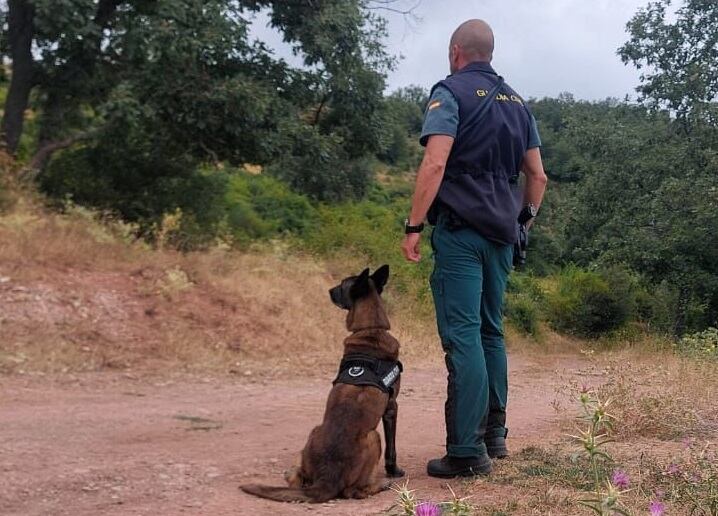 La Guardia Civil busca a un hombre de 54 años desaparecido en Nieva de Cameros