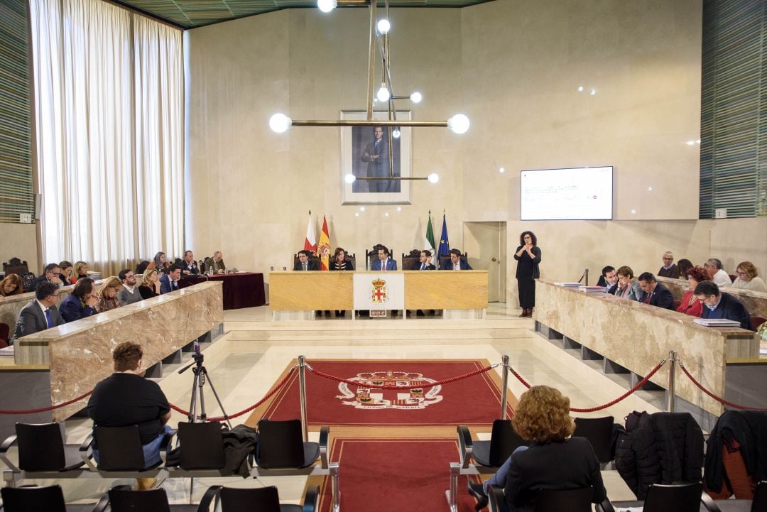 Pleno Ayuntamiento de Almería.