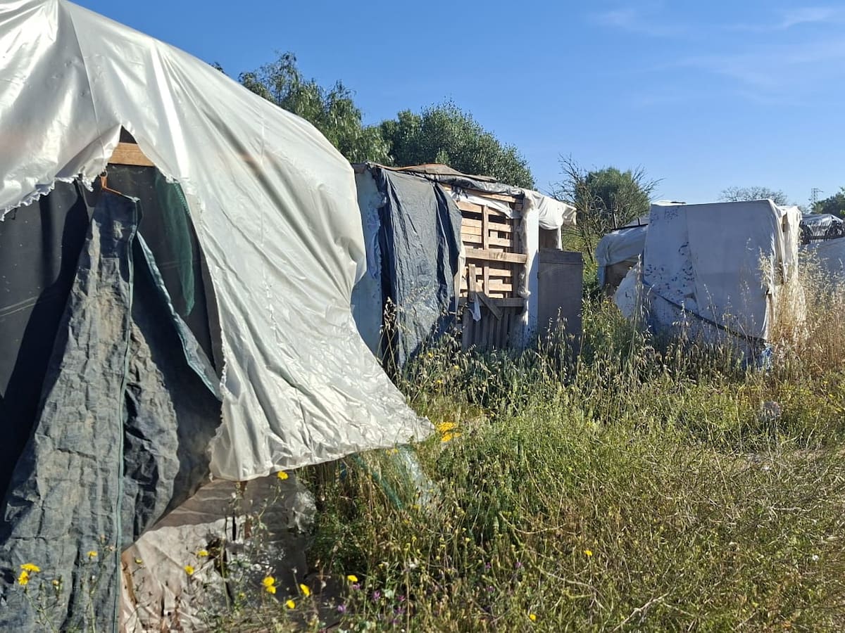 Algunos residentes del asentamiento de sa Joveria pagaban 200 euros semanales por una tienda de campaña