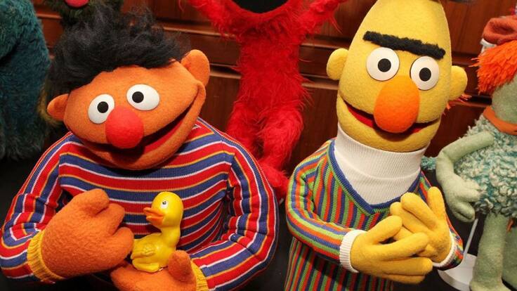 ESPÈCIES PROTEGIDES 05/12/2019 - Chelo Vivares