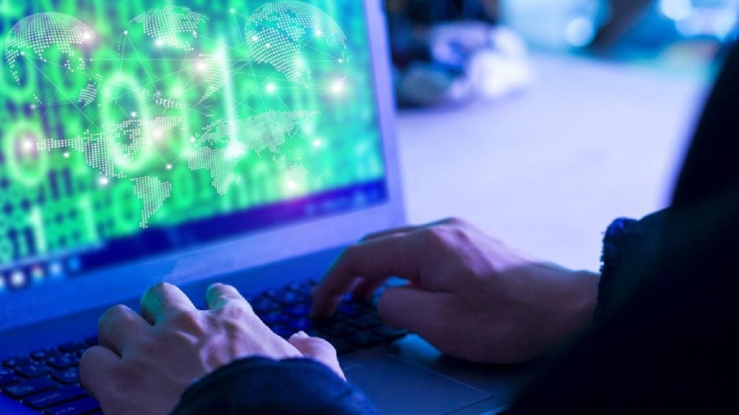 Panda, creada en Bilbao en 1990, ha sido conocida durante años por su popular "antivirus", hasta convertirse en una empresa de referencia en la seguridad informática