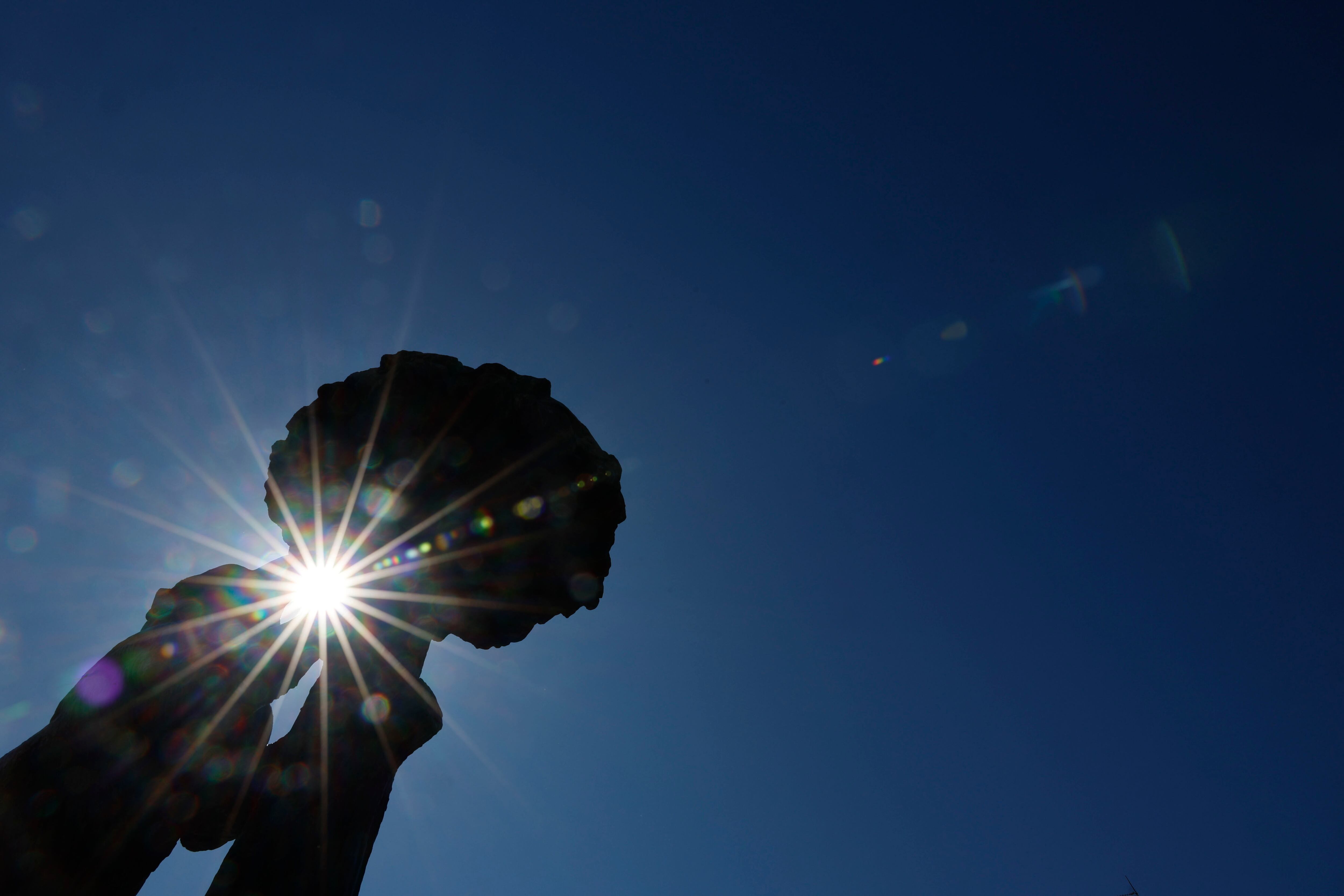 Vista de la estatua del Oso y el Madroño en la Puerta del Sol en Madrid.