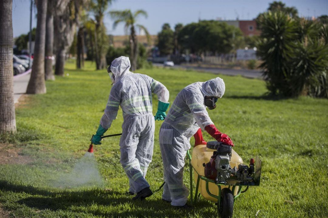 Dos operarios fumigan en Coria del Río