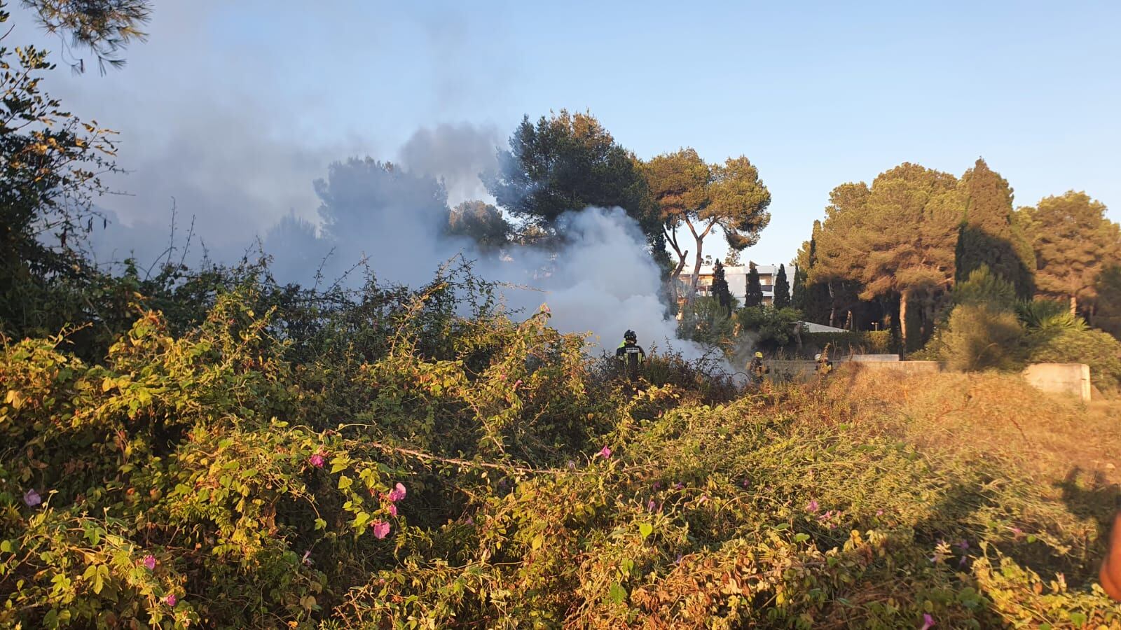 Imagen de la zona del incendio