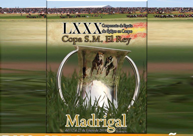 Este sábado el Campeonato de Galgos llega a los cuartos de final